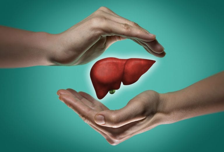 Rolul ficatului în organism și cum să-l protejezi The concept of a healthy liver.