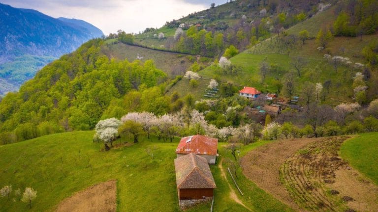 Cele mai frumoase locuri ascunse din Banat pentru o vacanță de neuitat