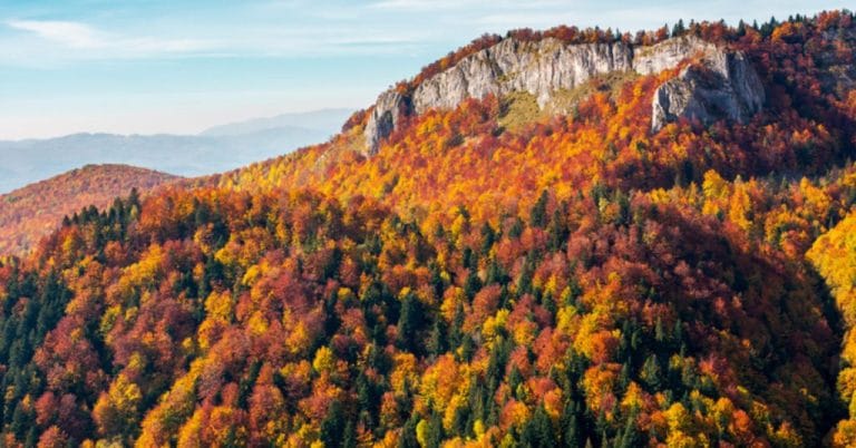 Observarea faunei în Carpații Orientali – unde și când
